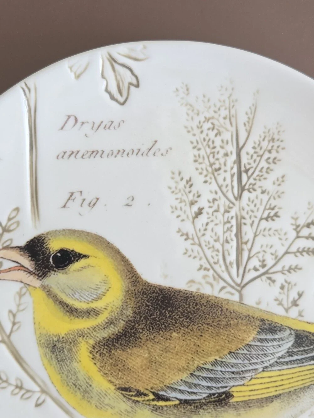 Pottery Barn Yellow Bird Botanical Salad Plate Stoneware Discontinued Vintage
